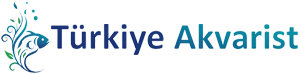 Logoturkiyeakvarist