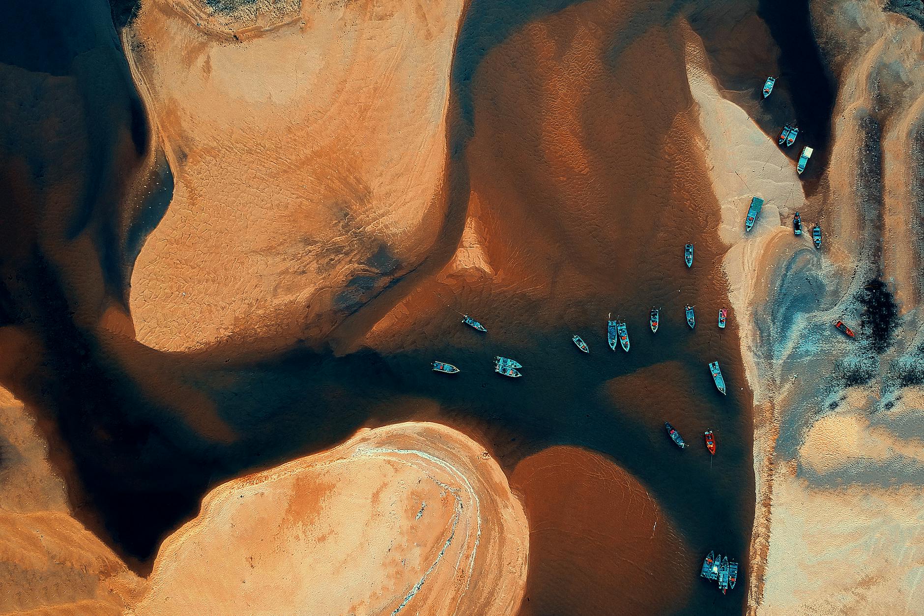 Hygrophila Polysperma – ( Hygrophila polysperma )