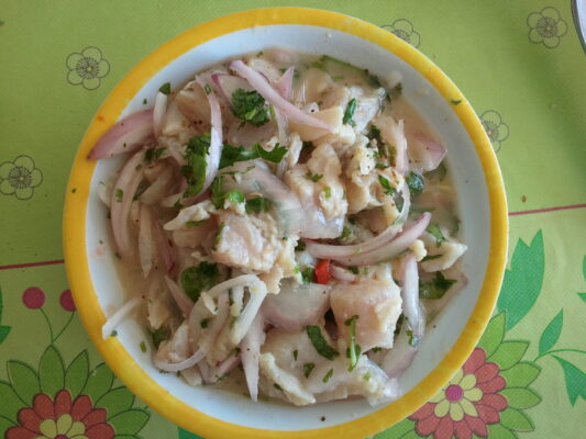 Paralichthys adspersus (Paralichthys adspersus) |commons:File:Ceviche de Lenguado Chileno (Paralichthys adspersus).jpg