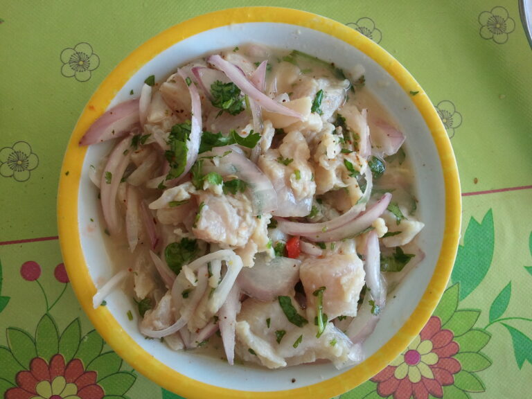 Paralichthys adspersus (Paralichthys adspersus) |commons:File:Ceviche de Lenguado Chileno (Paralichthys adspersus).jpg