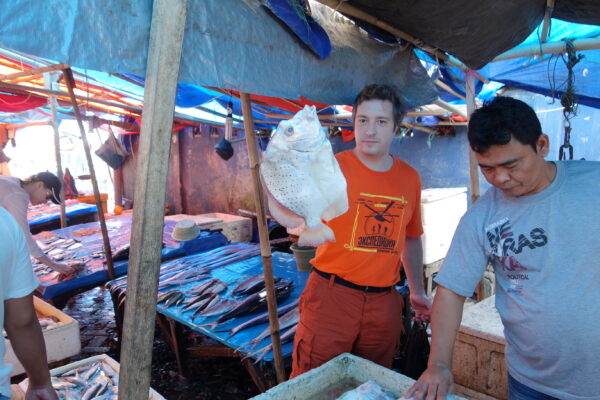 Spotted Sicklefish (Drepane punctata) |commons:File:Drepane punctata-2.JPG